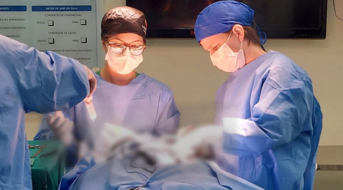 O Centro de Trauma do Hospital Estadual Alberto Torres (Heat), em São Gonçalo, atende 300 acidentados em motos por mês